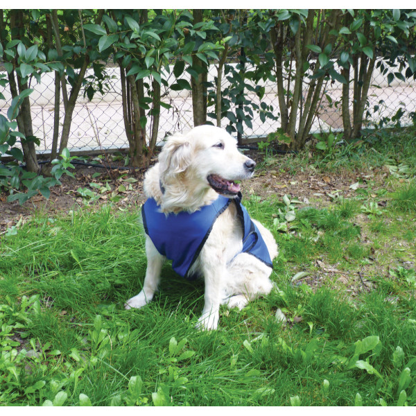 Manteau rafraîchissant pour chien