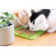 Tapis de léchage pour chien et chat