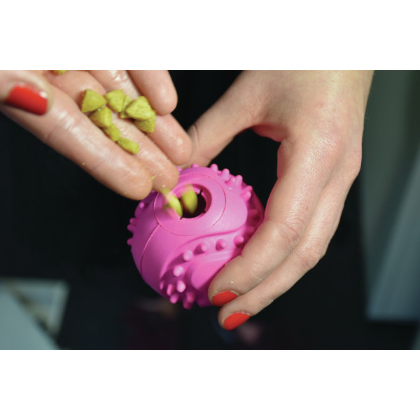 Balle rebondissante pour chien ou chat