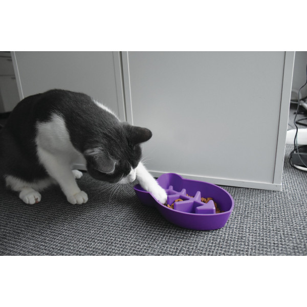 Gamelle anti-glouton chat