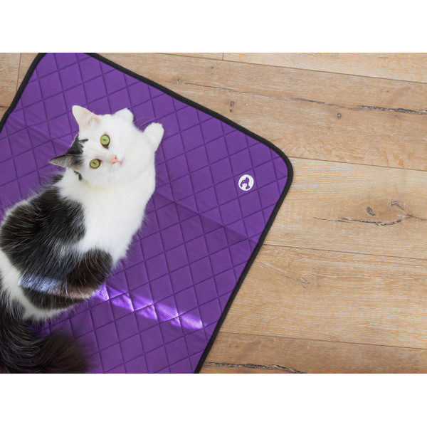 Tapis absorbant et antidérapant pour animaux