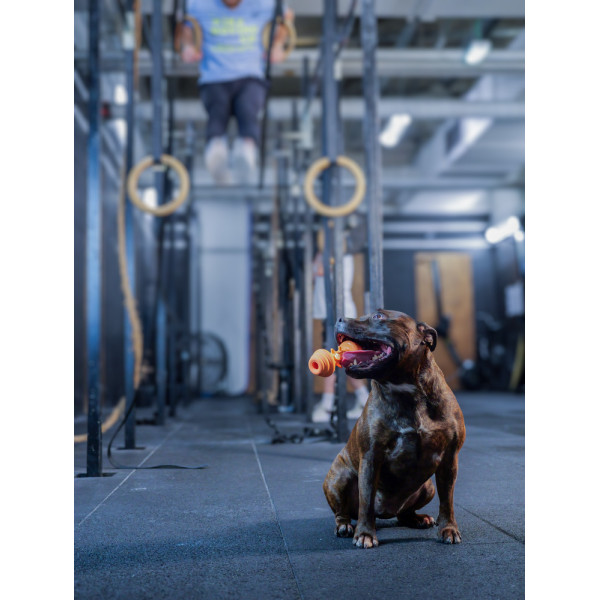 Jouet pour chien résistant Strong