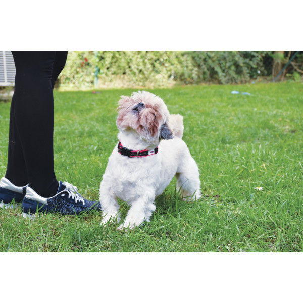 Adjustable Black Dog Collar