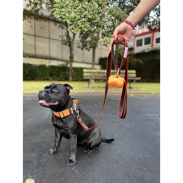 Distributeur de sacs à déjections pour chien