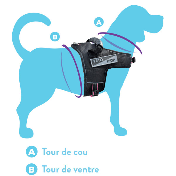 Harnais pour chien réglable noir