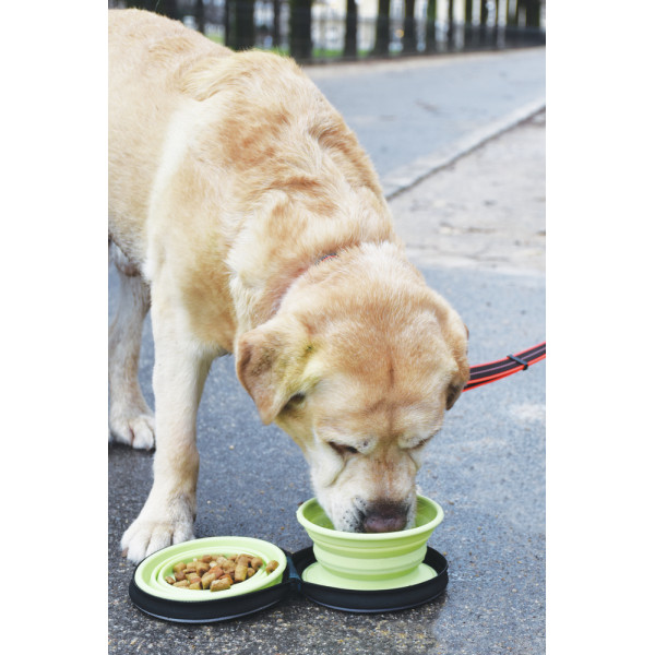 Gamelle de voyage pliable pour animaux