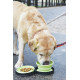 Gamelle de voyage pliable pour animaux