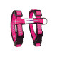 Adjustable H-Style Cat Harness