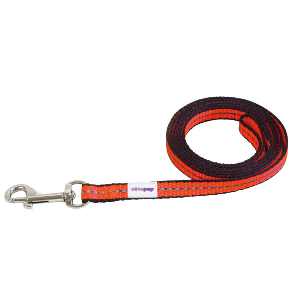 Colourful Cat Lead