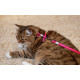 Colourful Cat Lead