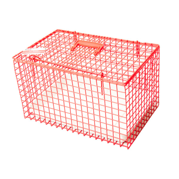 Cage de transport pour chien et chat