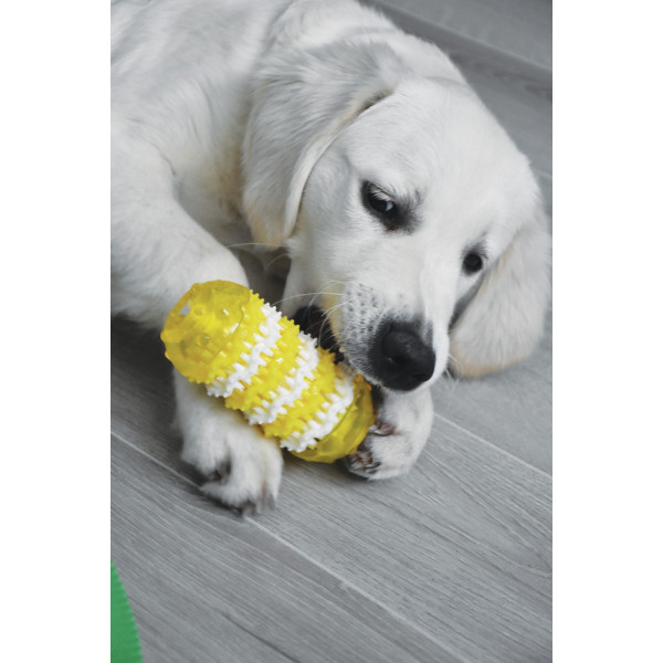 Dental Toy – Jouet dentaire pour chien