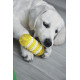 Dental Toy – Jouet dentaire pour chien