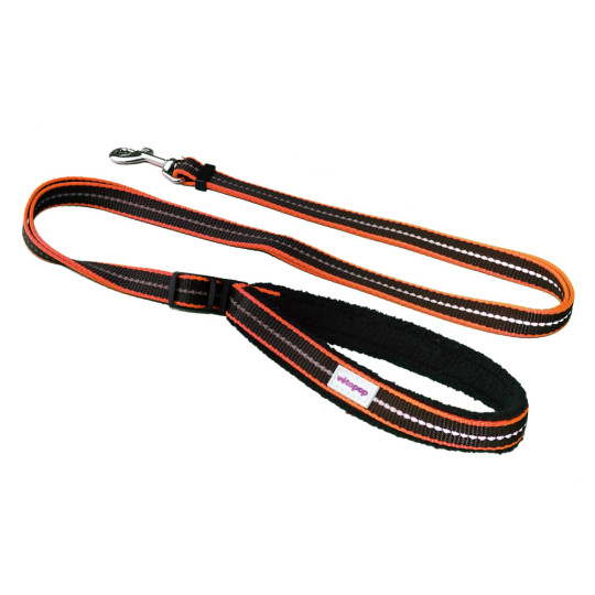 Laisse pour chien réglable noire